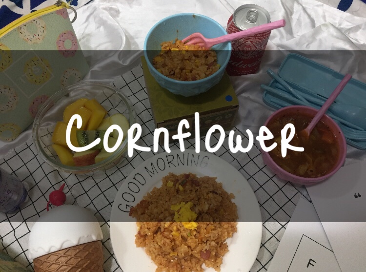 cornflower 玉米食器開箱｜時尚環保的餐具，共同創建一個永續環境