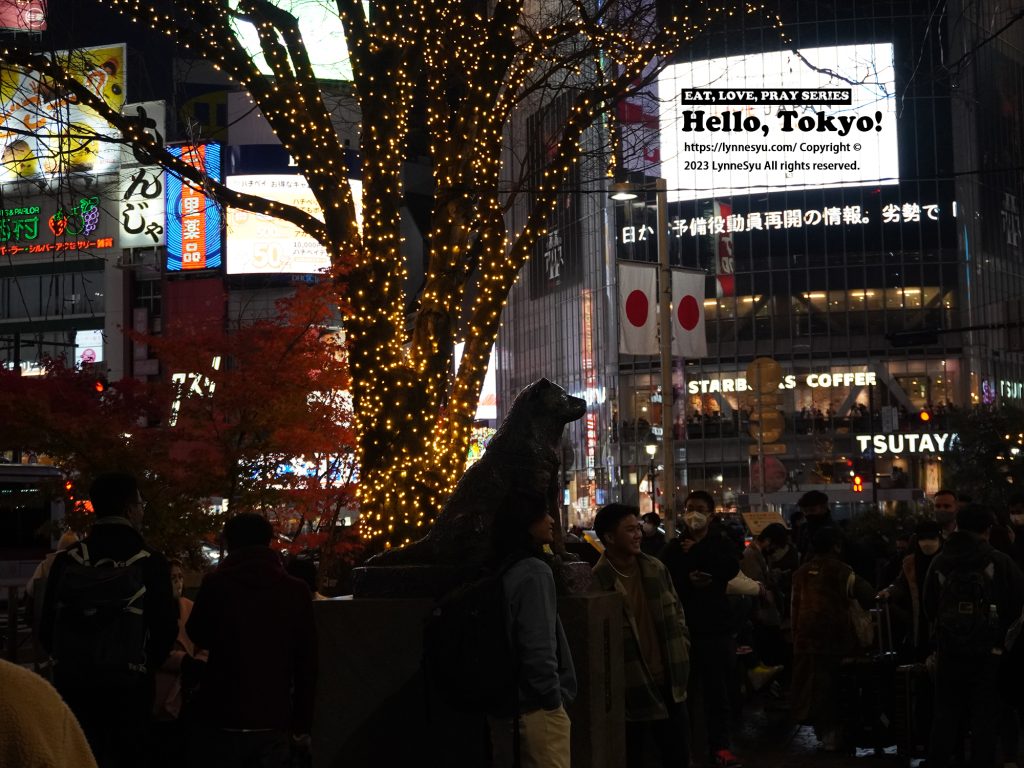 日本東京之旅｜六天五夜自由行景點推薦，淺草/富士山/自由之丘/東京鐵塔通通玩一遍！