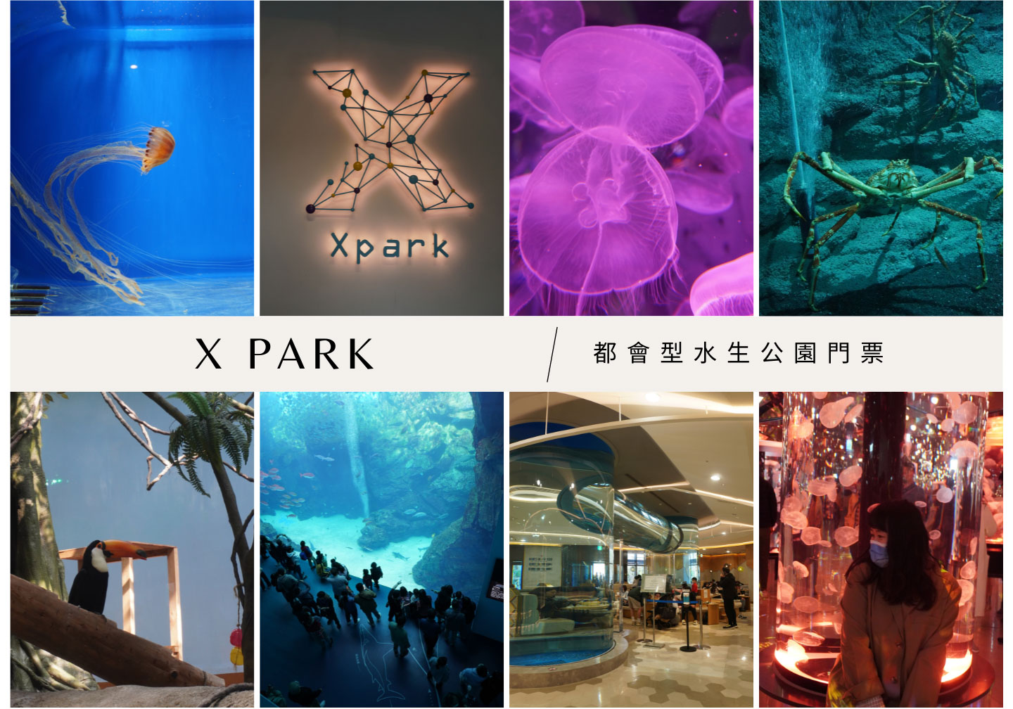 桃園青埔Xpark水族館,近高鐵站,門票優惠,水生公園