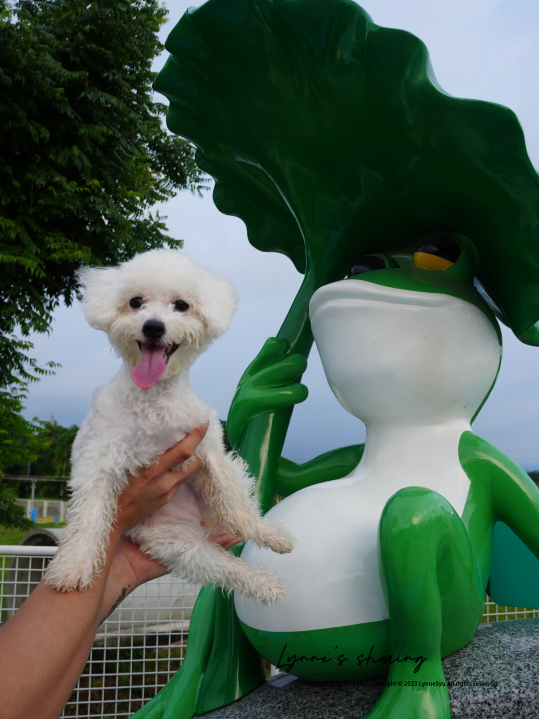 比熊放風去！✦ 嘉義寵物公園推薦「綠映水漾」設有小狗專屬區，FIFI跑到耳朵飛起來！