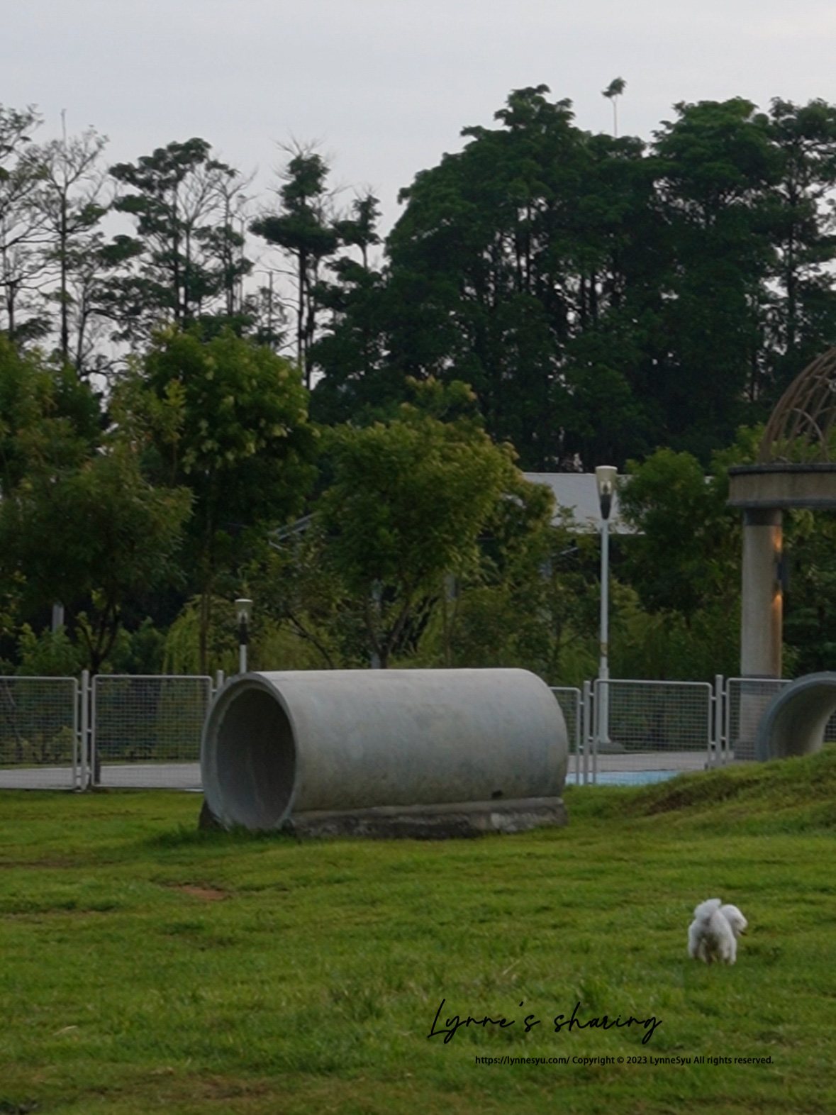 比熊放風去！✦ 嘉義寵物公園推薦「綠映水漾」設有小狗專屬區，FIFI跑到耳朵飛起來！