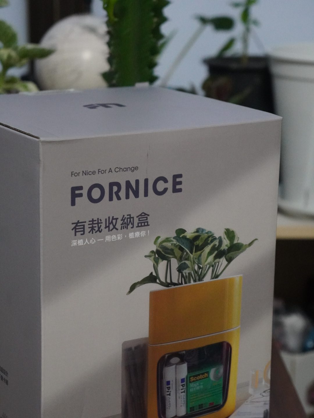 為辦公桌添一點綠意！【Fornice楓萊詩】有栽收納盒，高CP值實用盆栽