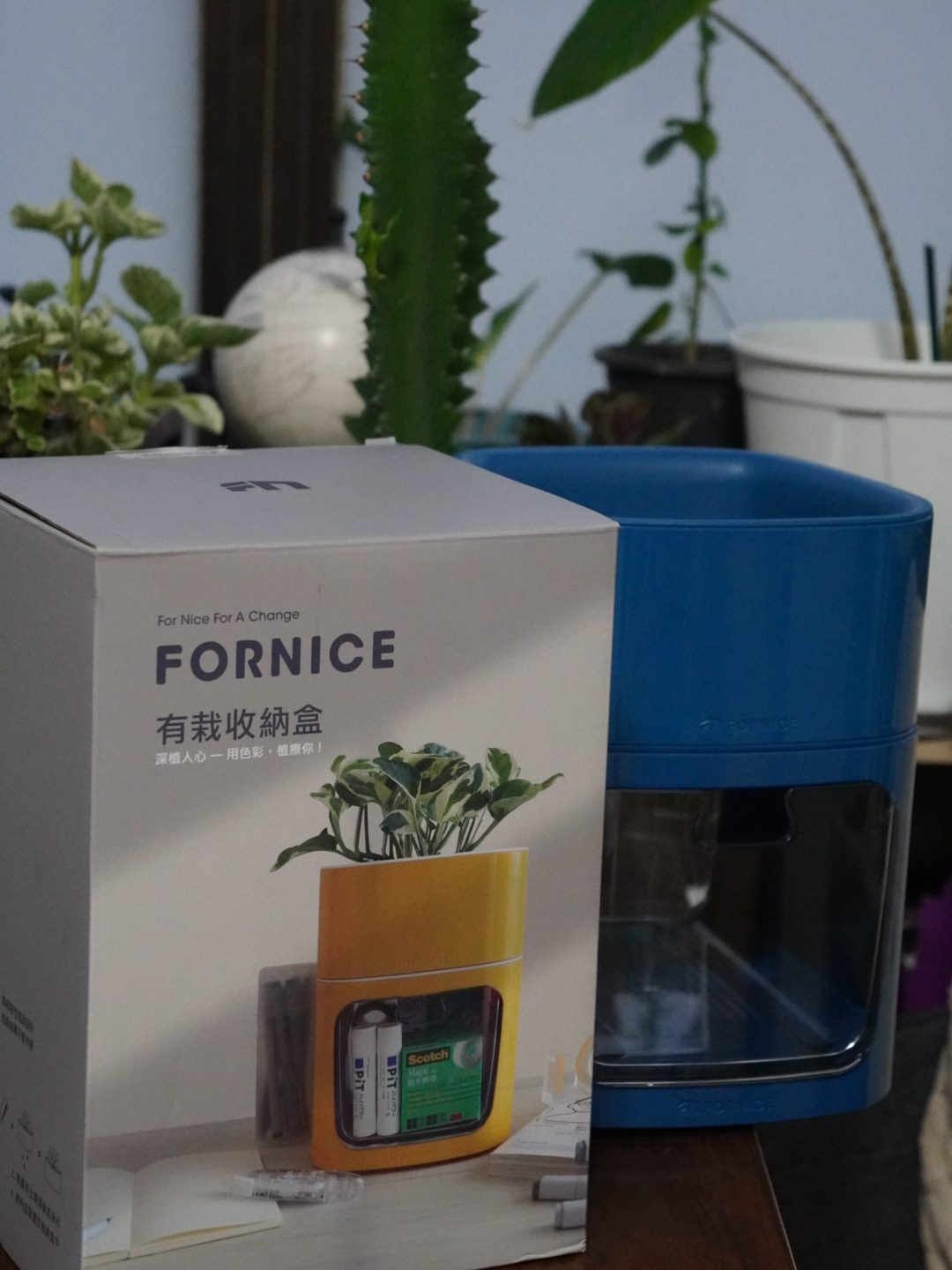 為辦公桌添一點綠意！【Fornice楓萊詩】有栽收納盒，高CP值實用盆栽