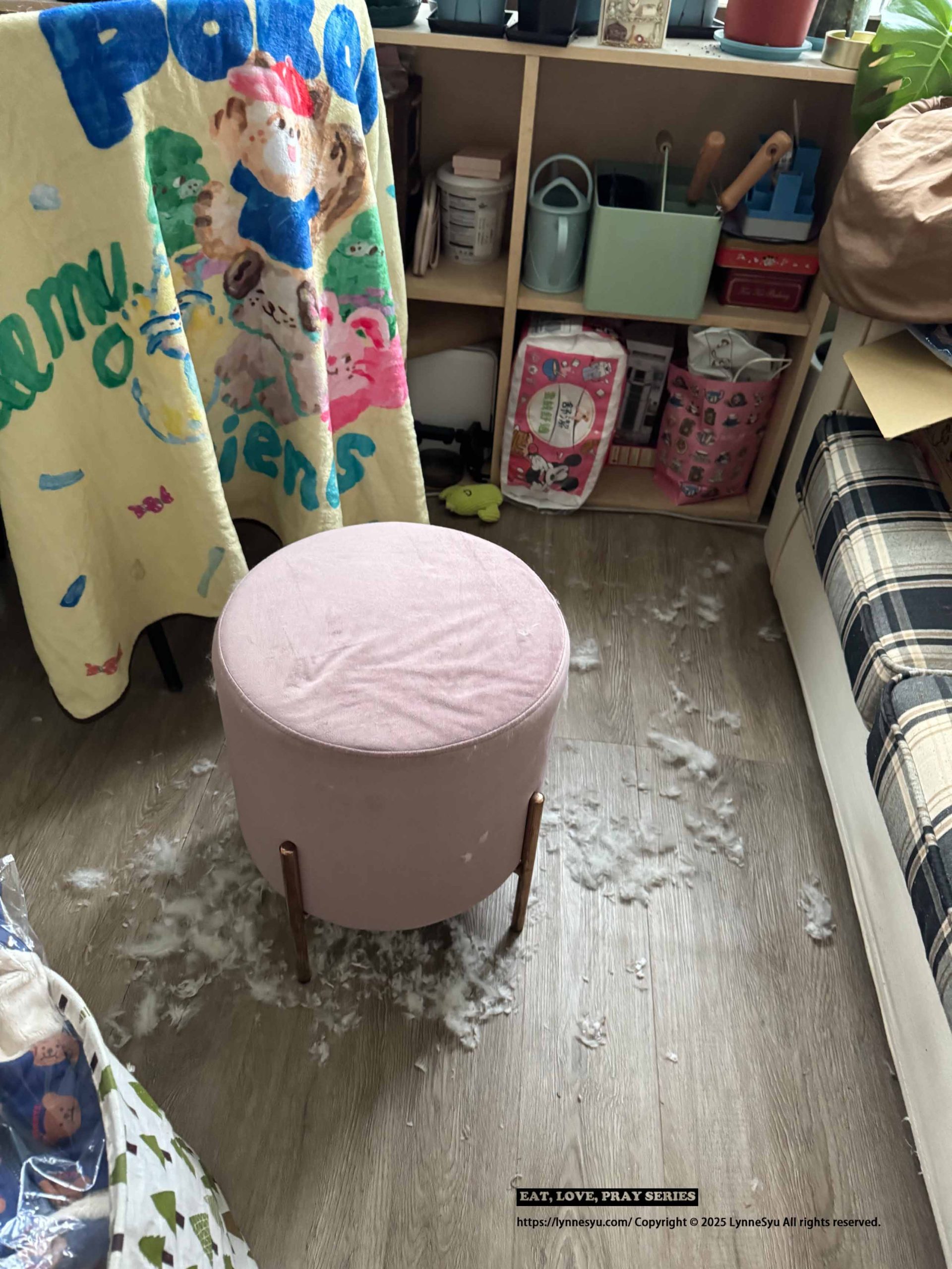 毛孩家庭實測TiDdi小精靈SW1180,日常清潔少一點手忙腳亂 毛孩家庭實測TiDdi小精靈SW1180,日常清潔少一點手忙腳亂