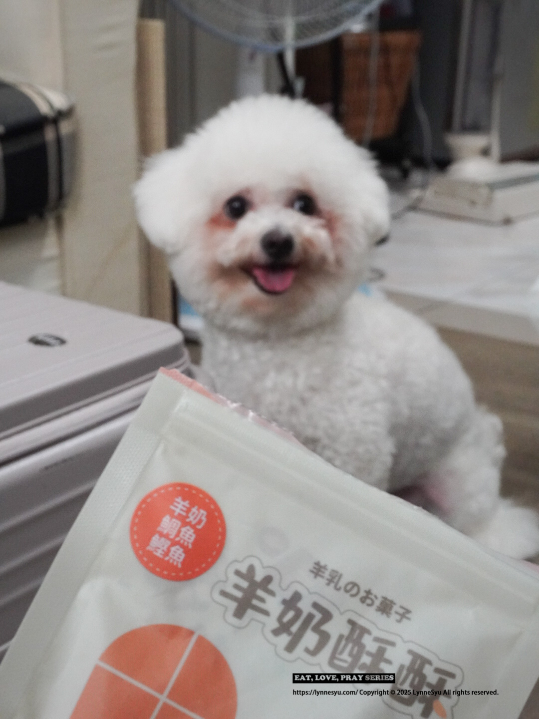 鼻子直接湊進袋子!Homiha好米亞「羊奶酥酥」小狗狗零食推薦,絕佳適口性 鼻子直接湊進袋子!Homiha好米亞「羊奶酥酥」小狗狗零食推薦,絕佳適口性