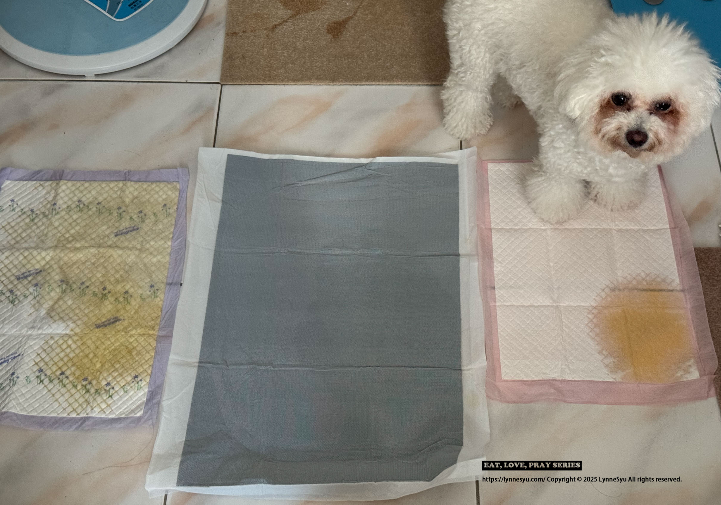 [PK實測心得] 寵物尿墊怎麼選？美の家 MediHome芯體速吸墊，尿墊界的黑洞！狗狗家庭必買推薦