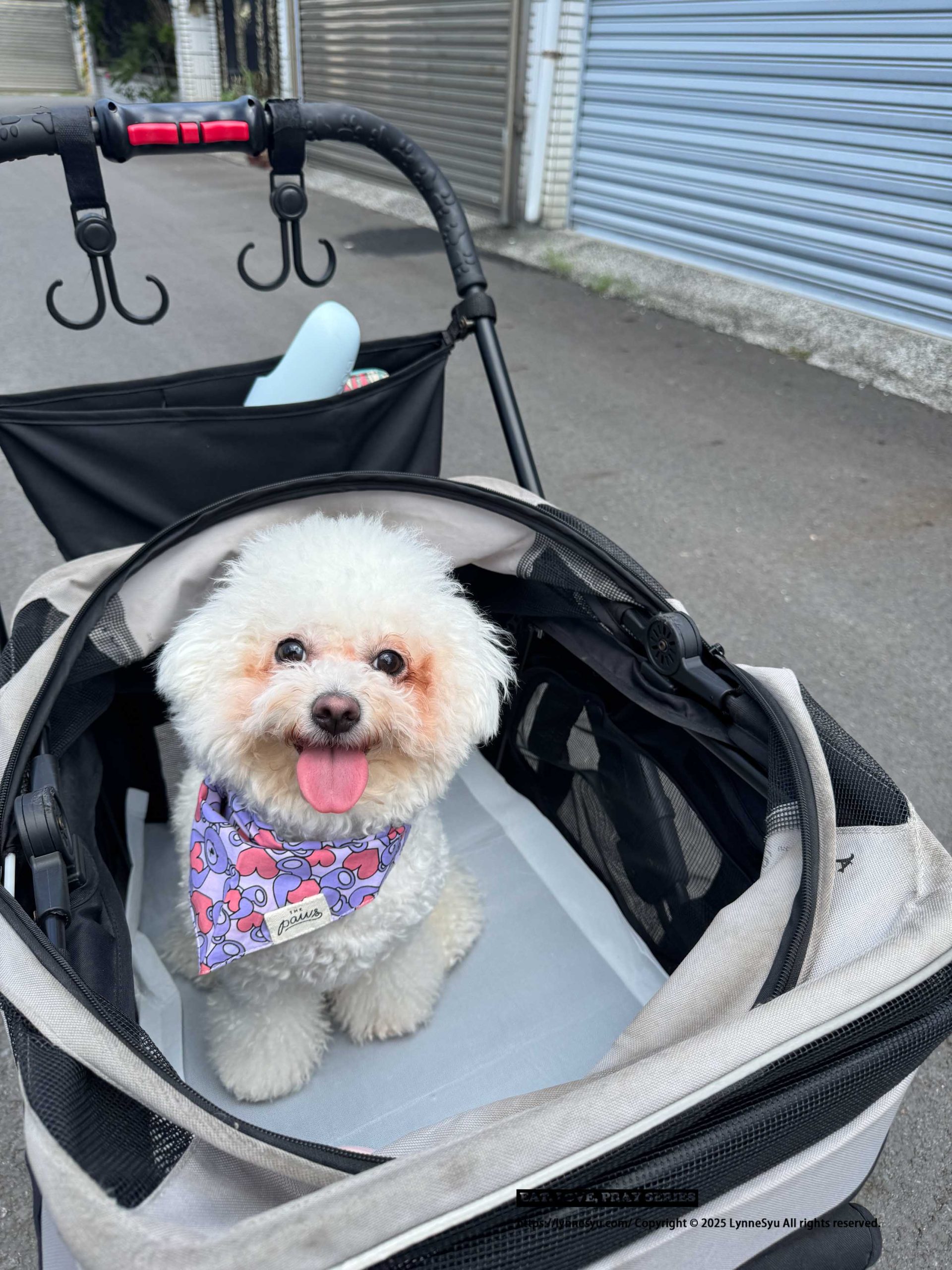 [PK實測心得] 寵物尿墊怎麼選？美の家 MediHome芯體速吸墊，尿墊界的黑洞！狗狗家庭必買推薦