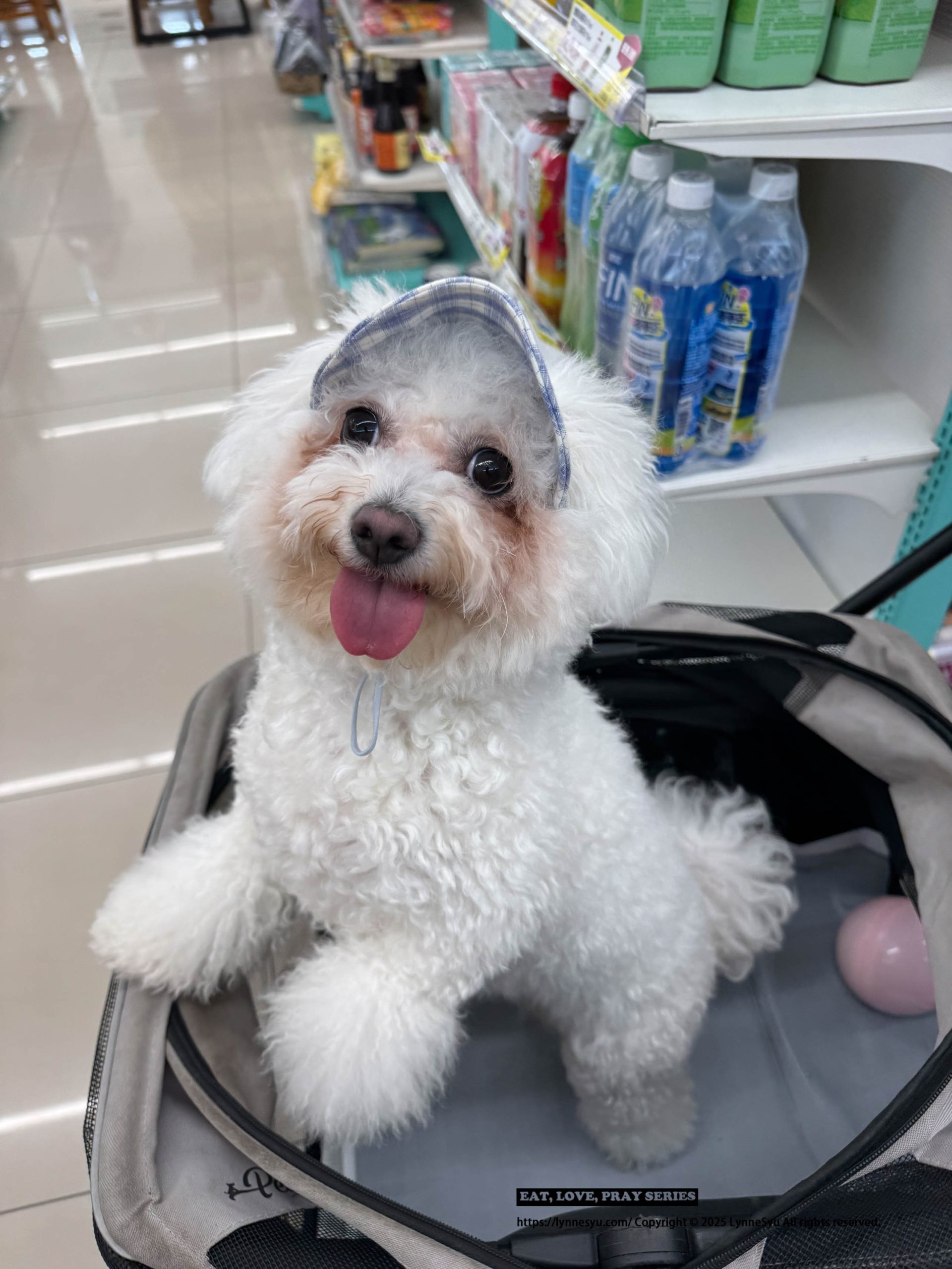 [PK實測心得] 寵物尿墊怎麼選？美の家 MediHome芯體速吸墊，尿墊界的黑洞！狗狗家庭必買推薦