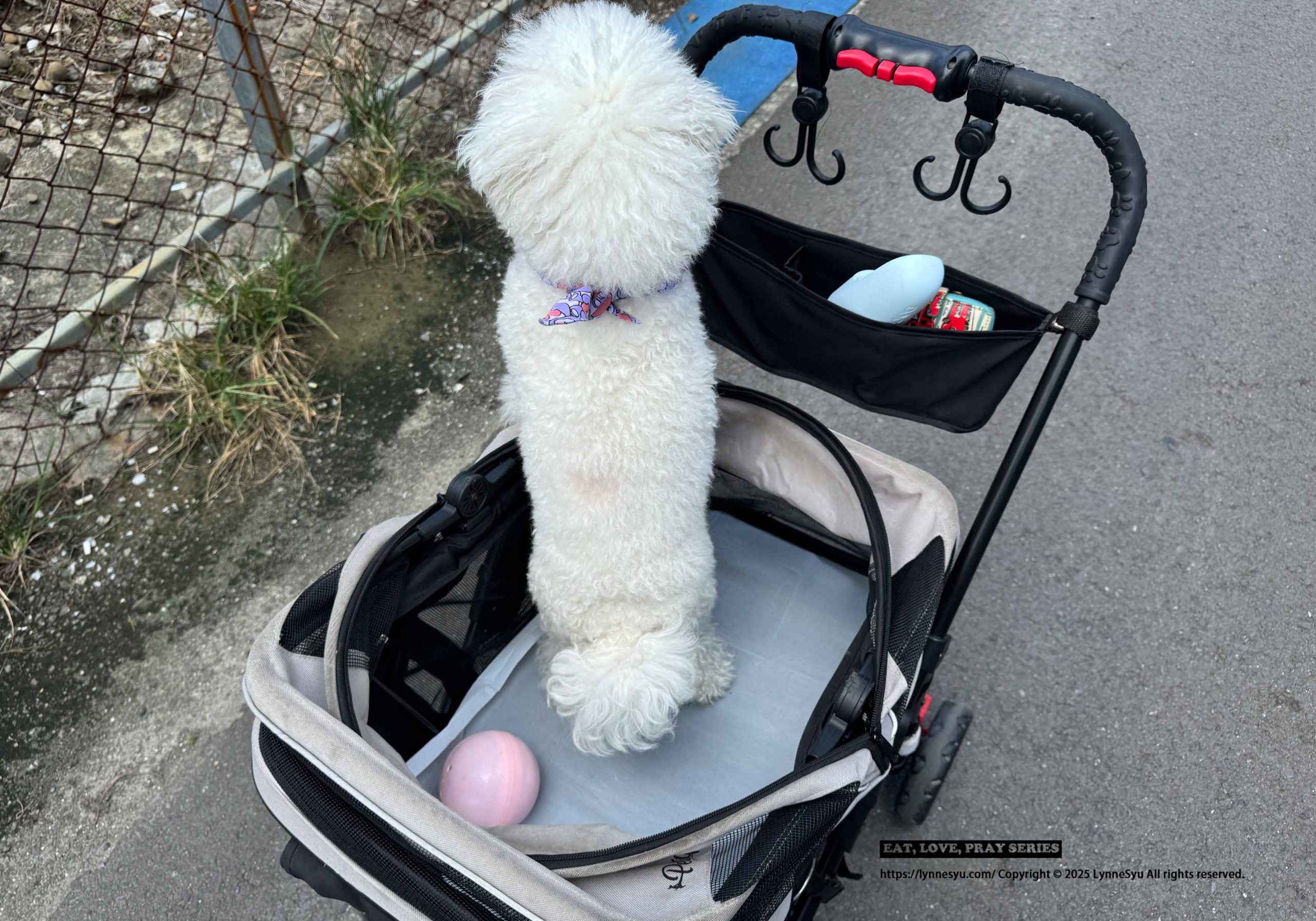 [PK實測心得] 寵物尿墊怎麼選？美の家 MediHome芯體速吸墊，尿墊界的黑洞！狗狗家庭必買推薦