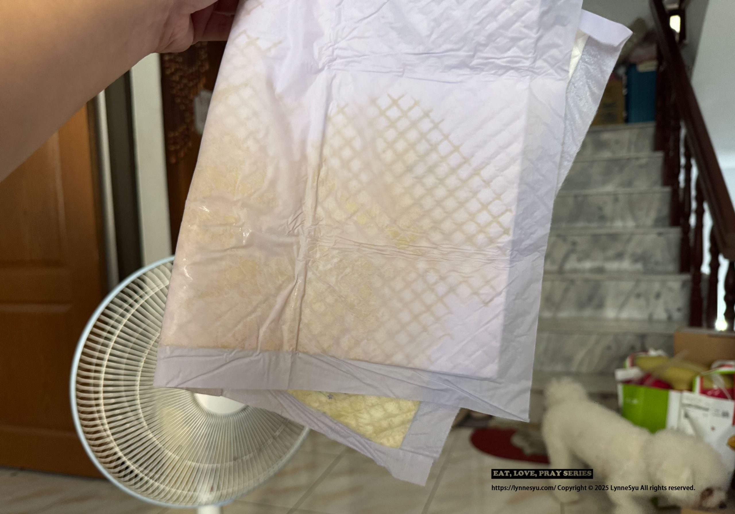 [PK實測心得] 寵物尿墊怎麼選？美の家 MediHome芯體速吸墊，尿墊界的黑洞！狗狗家庭必買推薦