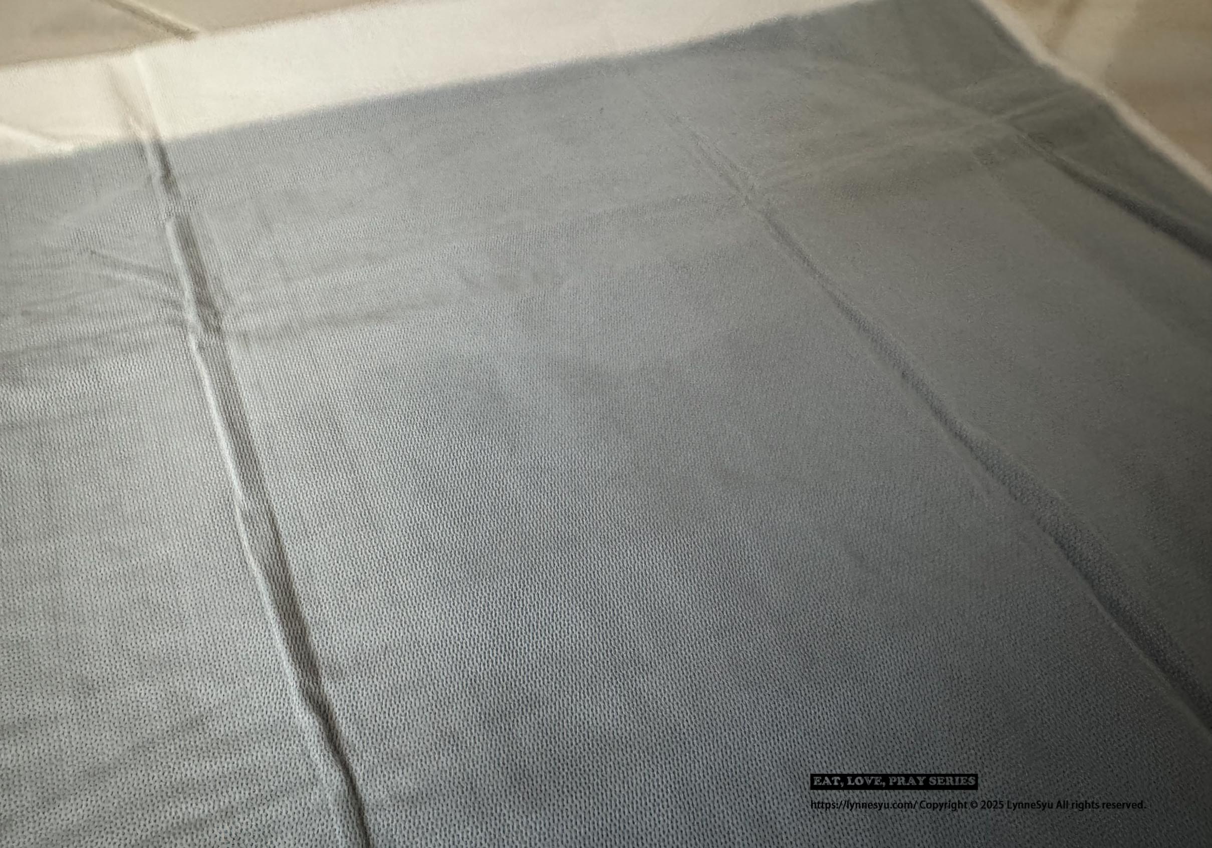 [PK實測心得] 寵物尿墊怎麼選？美の家 MediHome芯體速吸墊，尿墊界的黑洞！狗狗家庭必買推薦