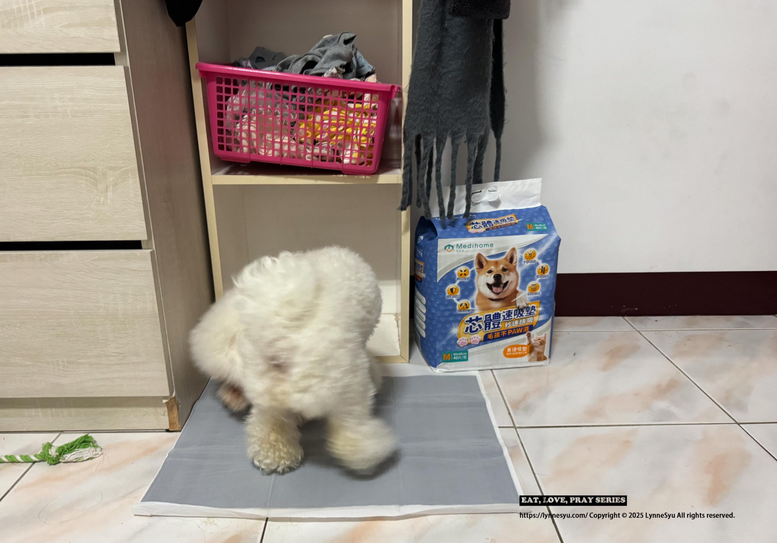 [PK實測心得] 寵物尿墊怎麼選？美の家 MediHome芯體速吸墊，尿墊界的黑洞！狗狗家庭必買推薦