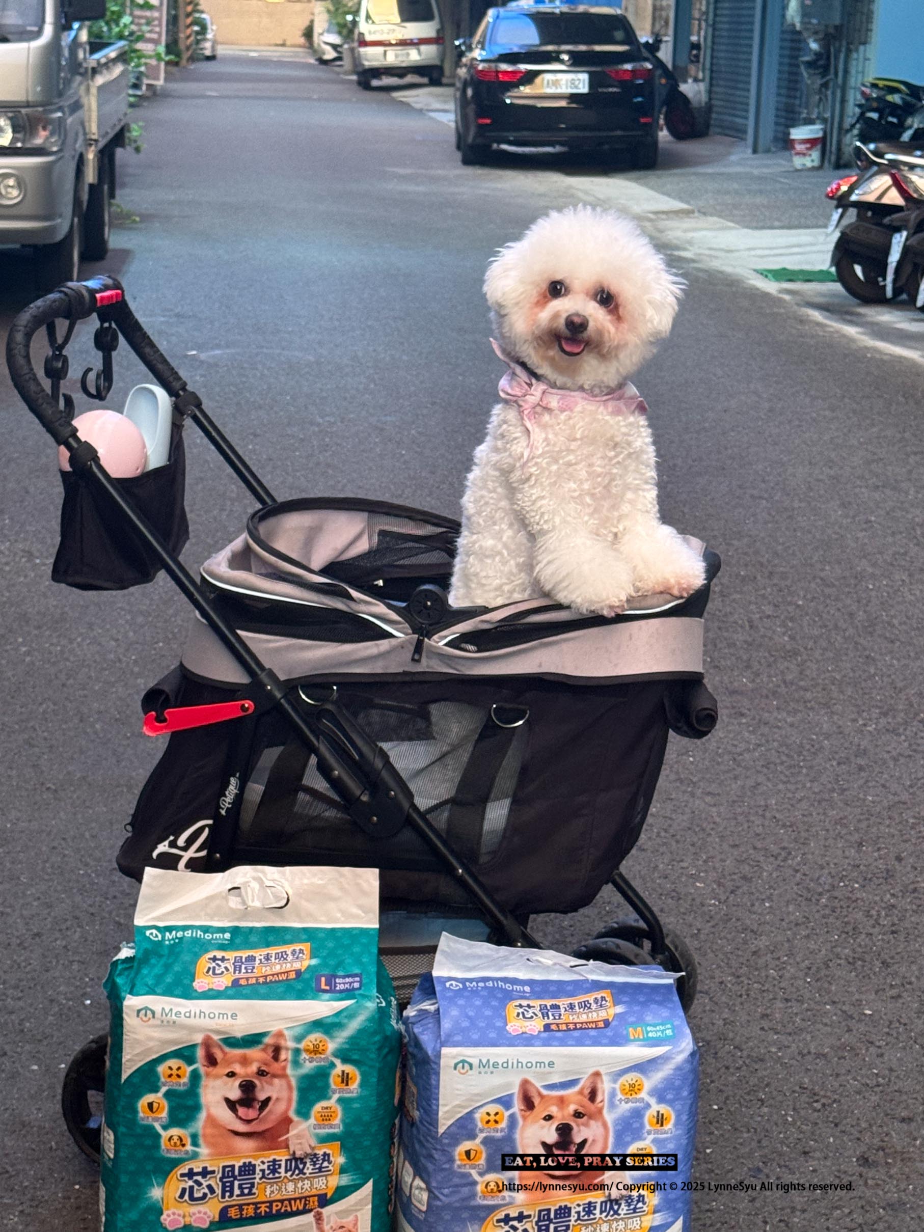 [PK實測心得] 寵物尿墊怎麼選？美の家 MediHome芯體速吸墊，尿墊界的黑洞！狗狗家庭必買推薦