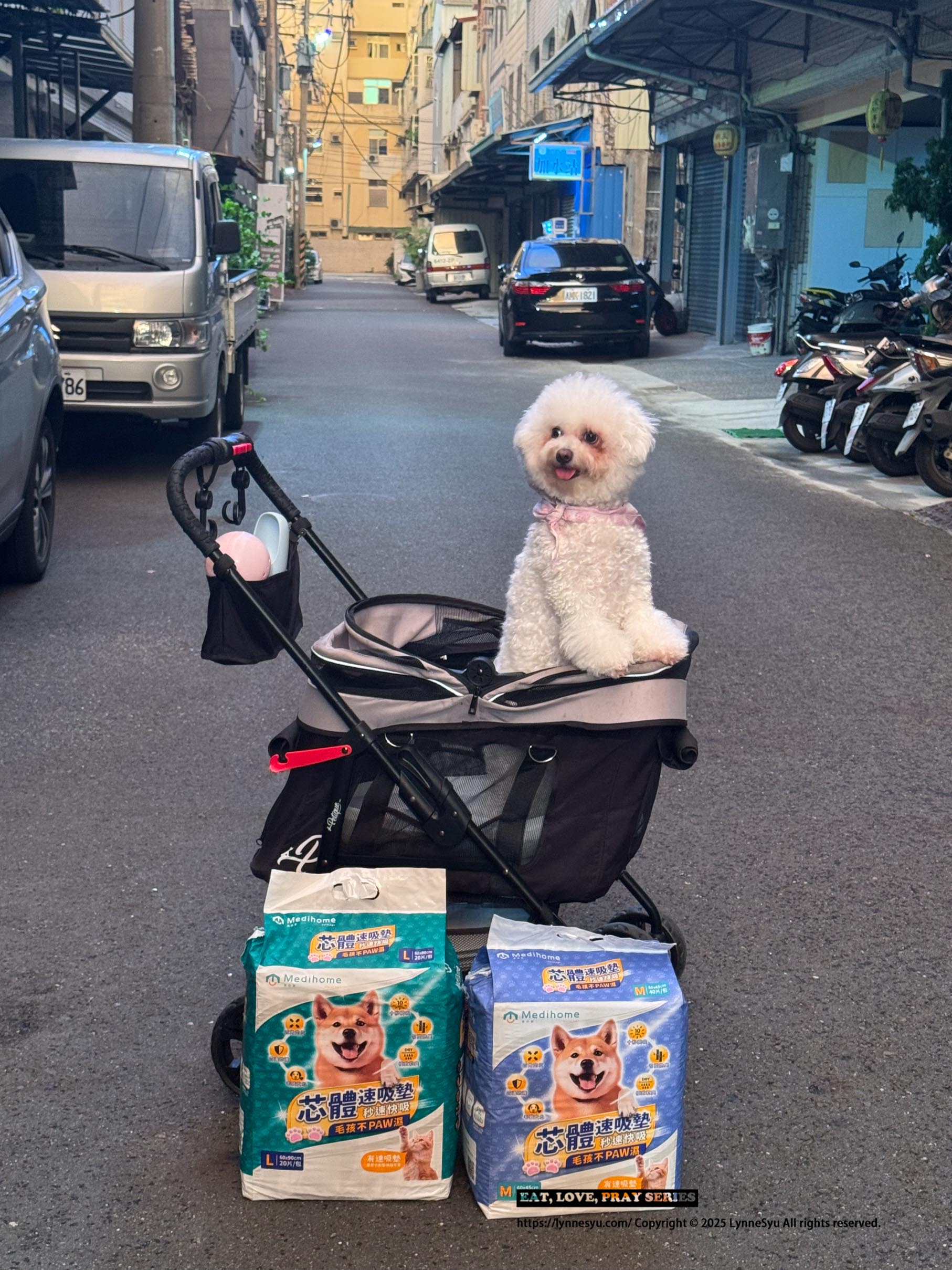 [PK實測心得] 寵物尿墊怎麼選？美の家 MediHome芯體速吸墊，尿墊界的黑洞！狗狗家庭必買推薦