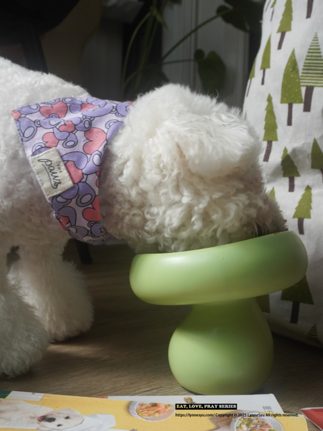 寵物鮮食包推薦!和匠寵饗CoCo Gourmet,全日本40萬隻狗狗愛用 寵物鮮食包推薦!和匠寵饗CoCo Gourmet,全日本40萬隻狗狗愛用