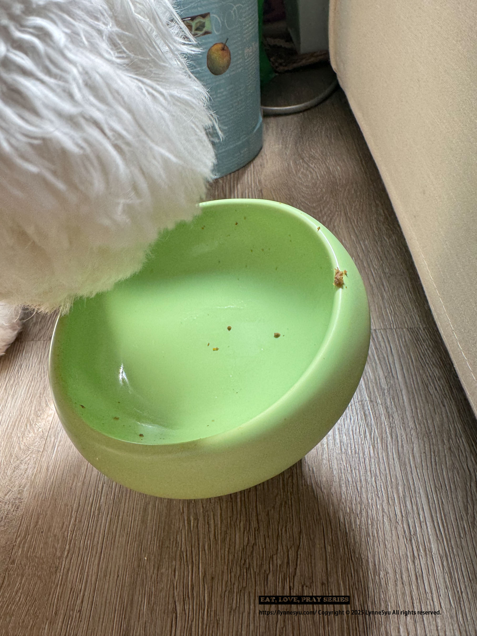 寵物鮮食包推薦!和匠寵饗CoCo Gourmet,全日本40萬隻狗狗愛用 寵物鮮食包推薦!和匠寵饗CoCo Gourmet,全日本40萬隻狗狗愛用