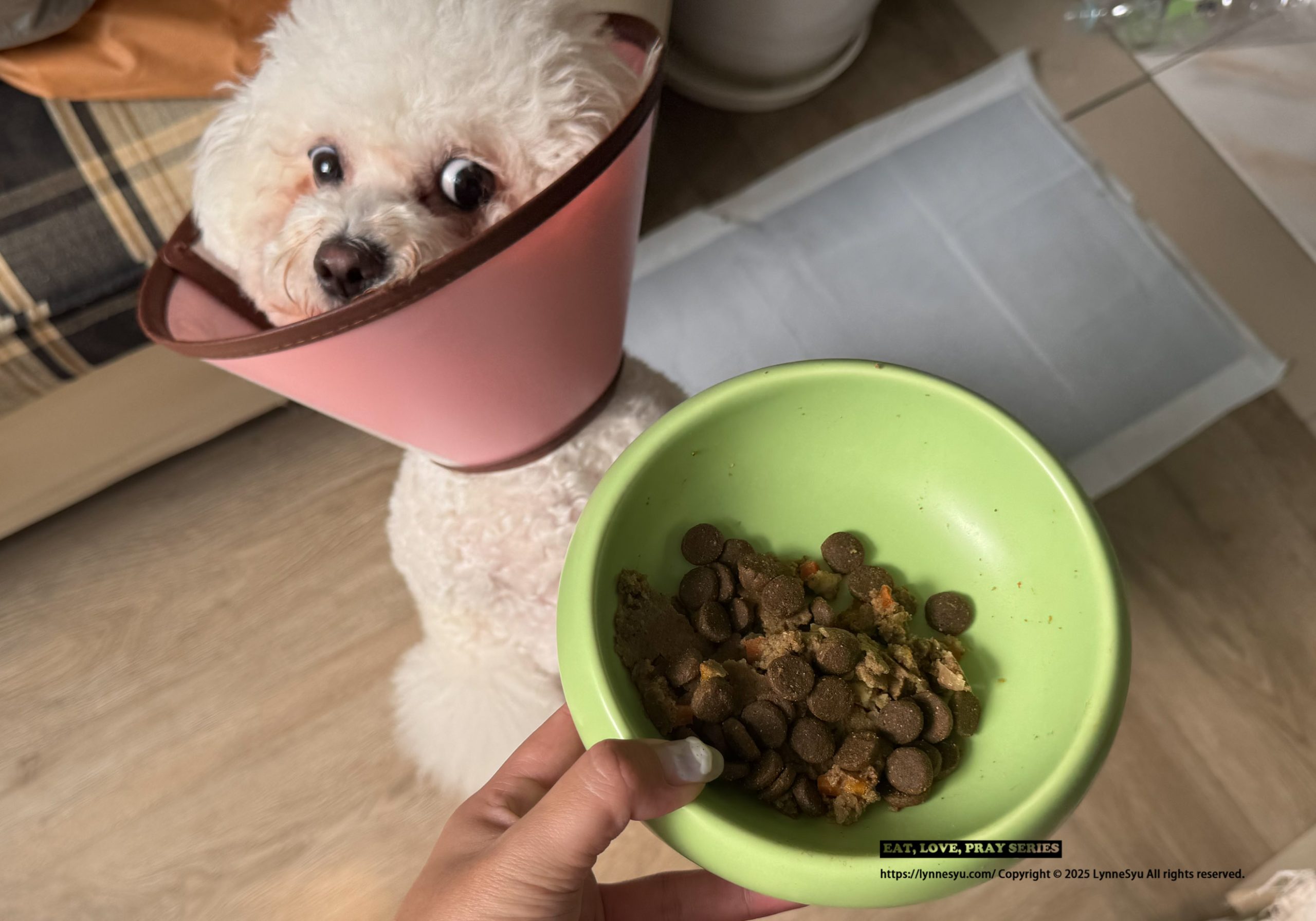 寵物鮮食包推薦!和匠寵饗CoCo Gourmet,全日本40萬隻狗狗愛用 寵物鮮食包推薦!和匠寵饗CoCo Gourmet,全日本40萬隻狗狗愛用