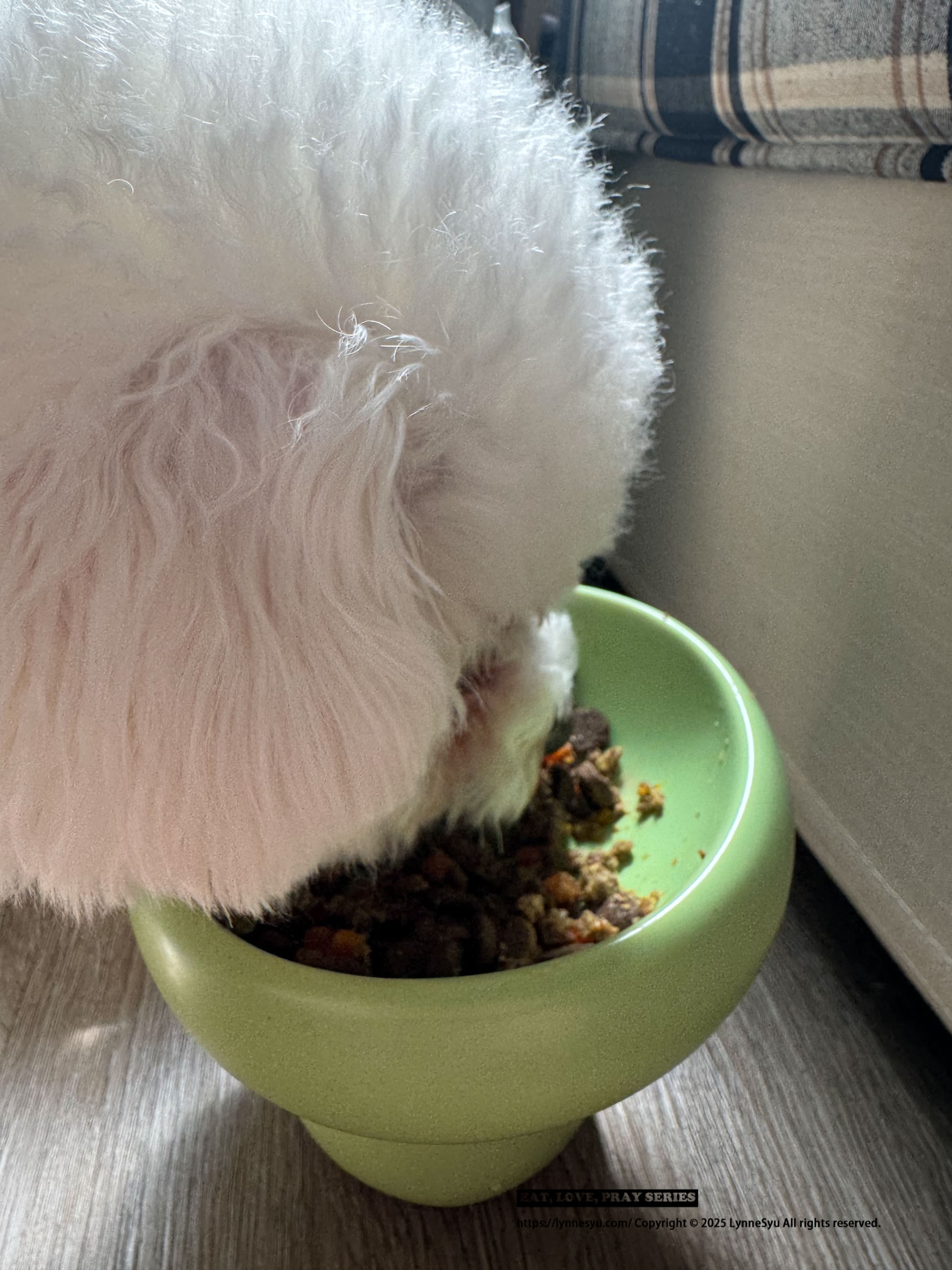 寵物鮮食包推薦!和匠寵饗CoCo Gourmet,全日本40萬隻狗狗愛用 寵物鮮食包推薦!和匠寵饗CoCo Gourmet,全日本40萬隻狗狗愛用