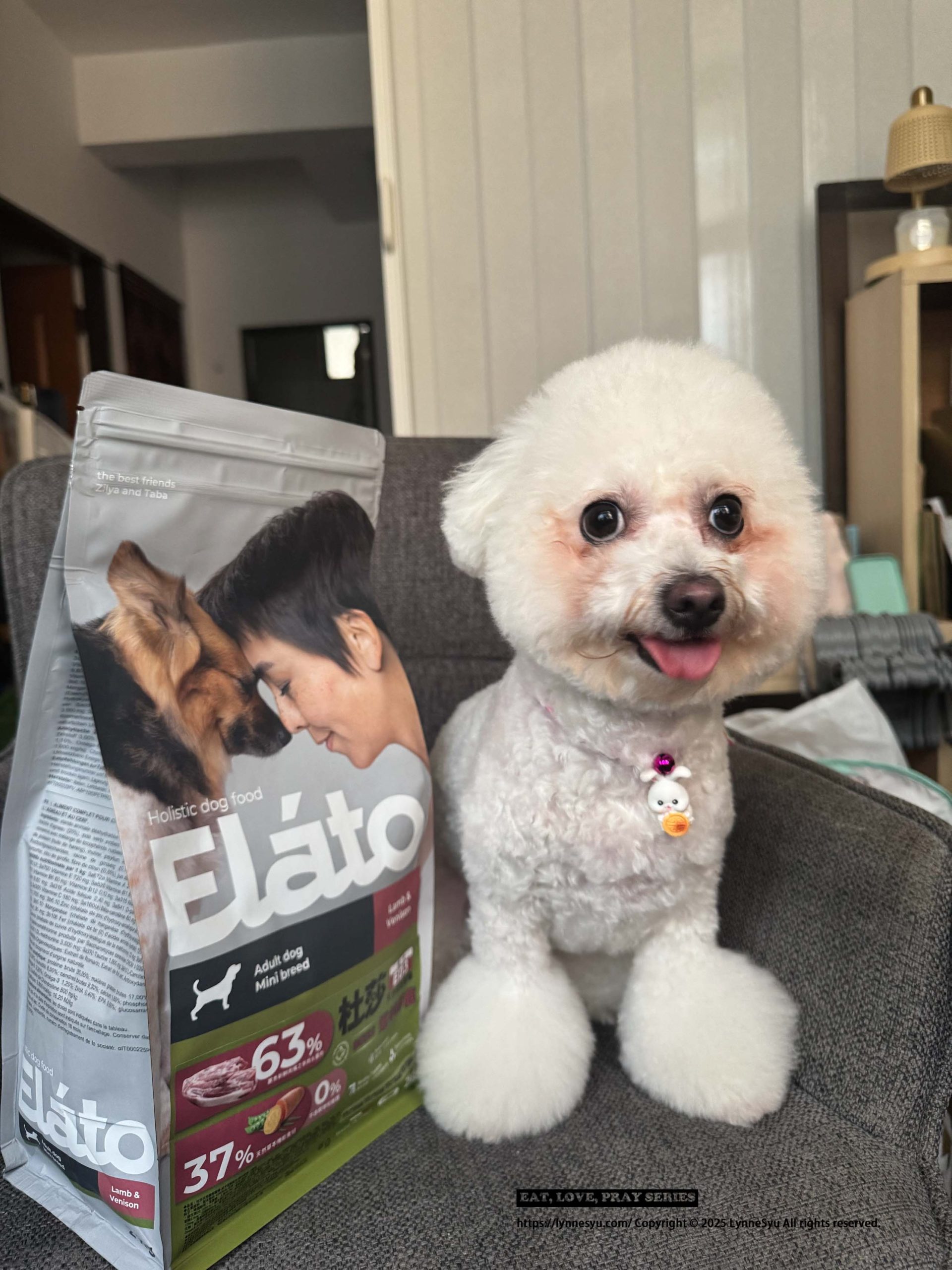 Elato杜莎適口性如何?義大利狗飼料推薦,63%含肉量的天然無穀狗糧 Elato杜莎適口性如何?義大利狗飼料推薦,63%含肉量的天然無穀狗糧