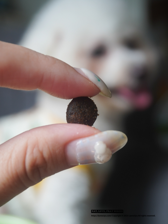 Elato杜莎適口性如何?義大利狗飼料推薦,63%含肉量的天然無穀狗糧 Elato杜莎適口性如何?義大利狗飼料推薦,63%含肉量的天然無穀狗糧