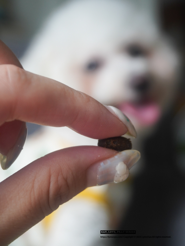 Elato杜莎適口性如何?義大利狗飼料推薦,63%含肉量的天然無穀狗糧 Elato杜莎適口性如何?義大利狗飼料推薦,63%含肉量的天然無穀狗糧