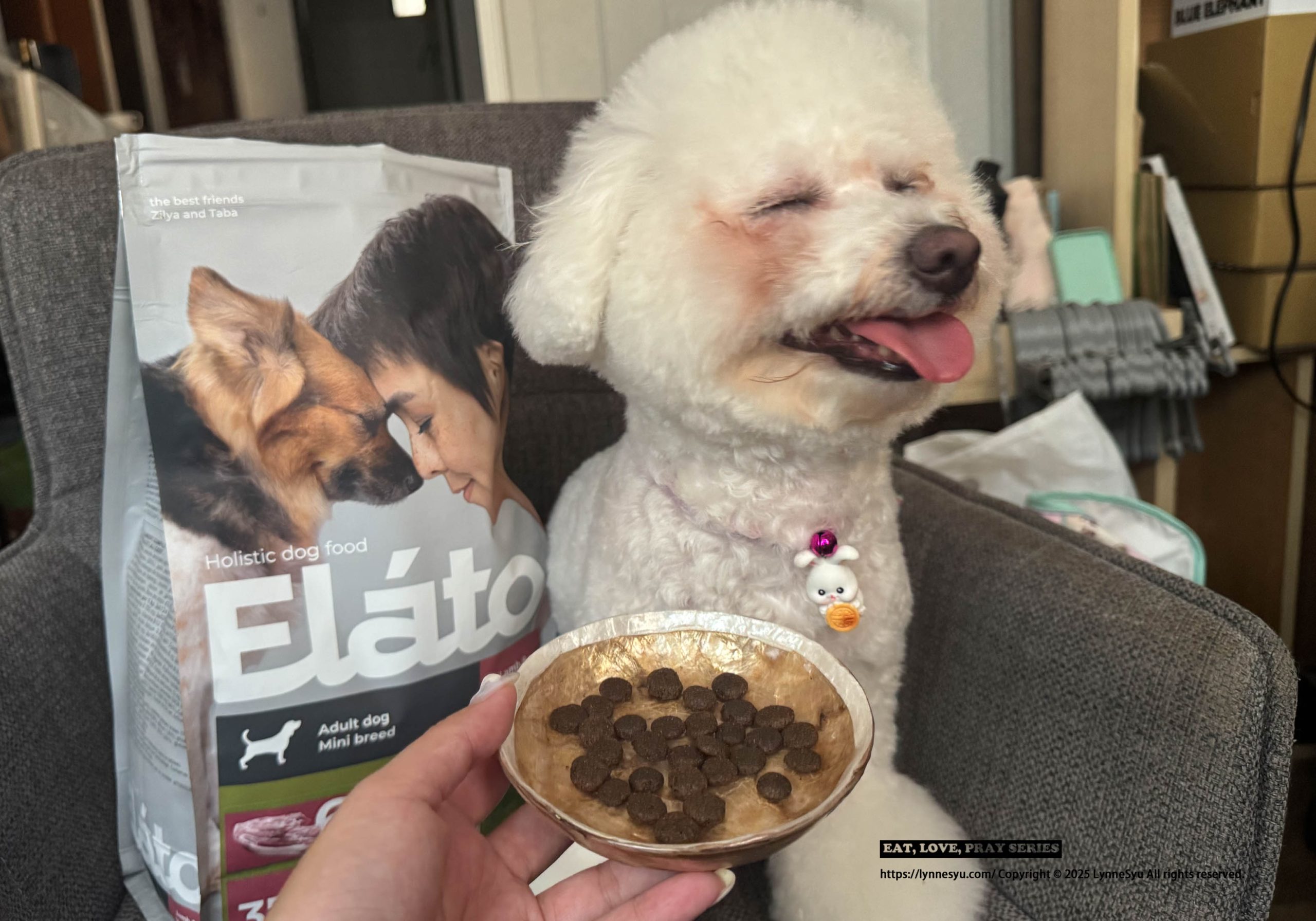 Elato杜莎適口性如何?義大利狗飼料推薦,63%含肉量的天然無穀狗糧 Elato杜莎適口性如何?義大利狗飼料推薦,63%含肉量的天然無穀狗糧