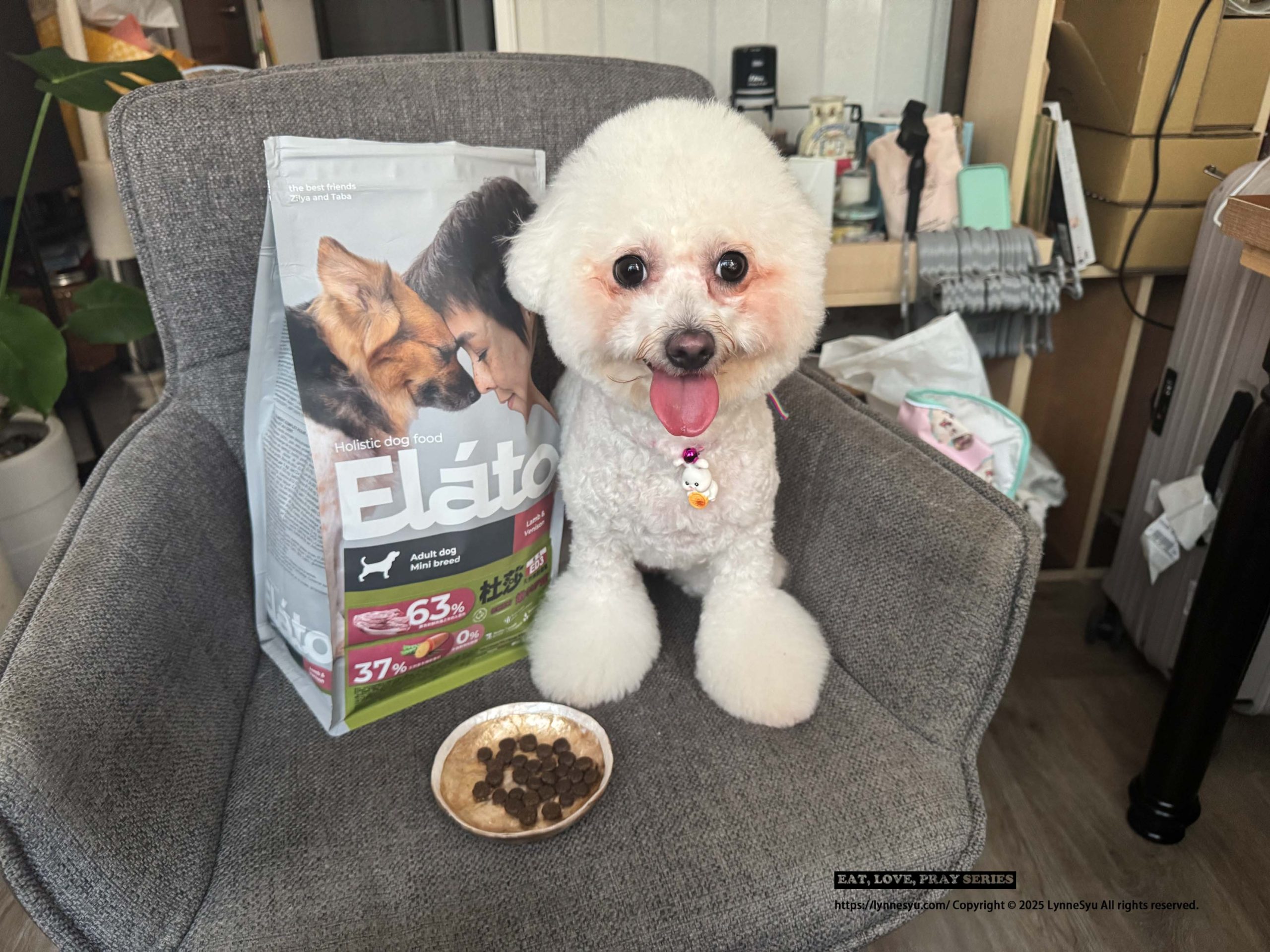 Elato杜莎適口性如何?義大利狗飼料推薦,63%含肉量的天然無穀狗糧 Elato杜莎適口性如何?義大利狗飼料推薦,63%含肉量的天然無穀狗糧