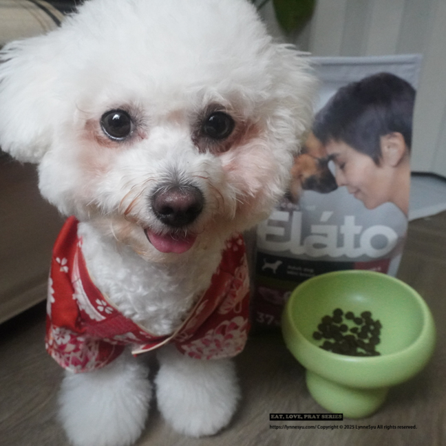 Elato杜莎適口性如何?義大利狗飼料推薦,63%含肉量的天然無穀狗糧 Elato杜莎適口性如何?義大利狗飼料推薦,63%含肉量的天然無穀狗糧