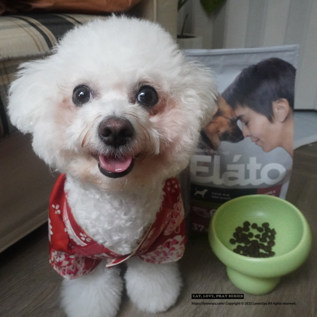 Elato杜莎適口性如何?義大利狗飼料推薦,63%含肉量的天然無穀狗糧 Elato杜莎適口性如何?義大利狗飼料推薦,63%含肉量的天然無穀狗糧