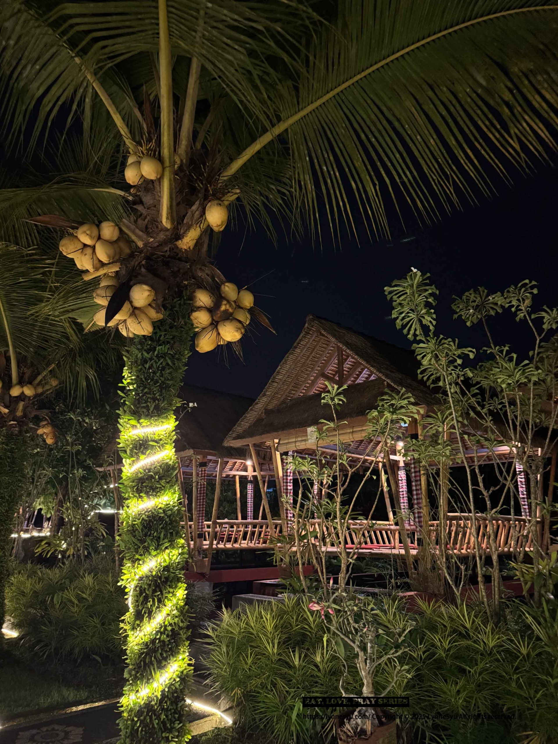 【峇里島烏布推薦】不只是一間Villa,Matahari Villa Ubud讓你住進峇里島的叢林詩篇(獨棟/泳池/五千內) 【峇里島烏布推薦】不只是一間Villa,Matahari Villa Ubud讓你住進峇里島的叢林詩篇(獨棟/泳池/五千內)