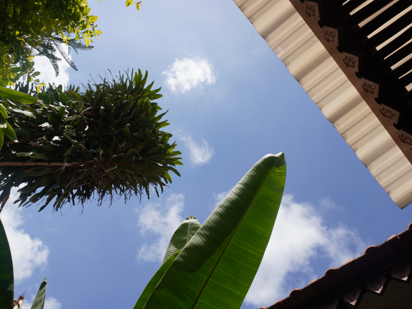 【峇里島烏布推薦】不只是一間Villa,Matahari Villa Ubud讓你住進峇里島的叢林詩篇(獨棟/泳池/五千內) 【峇里島烏布推薦】不只是一間Villa,Matahari Villa Ubud讓你住進峇里島的叢林詩篇(獨棟/泳池/五千內)