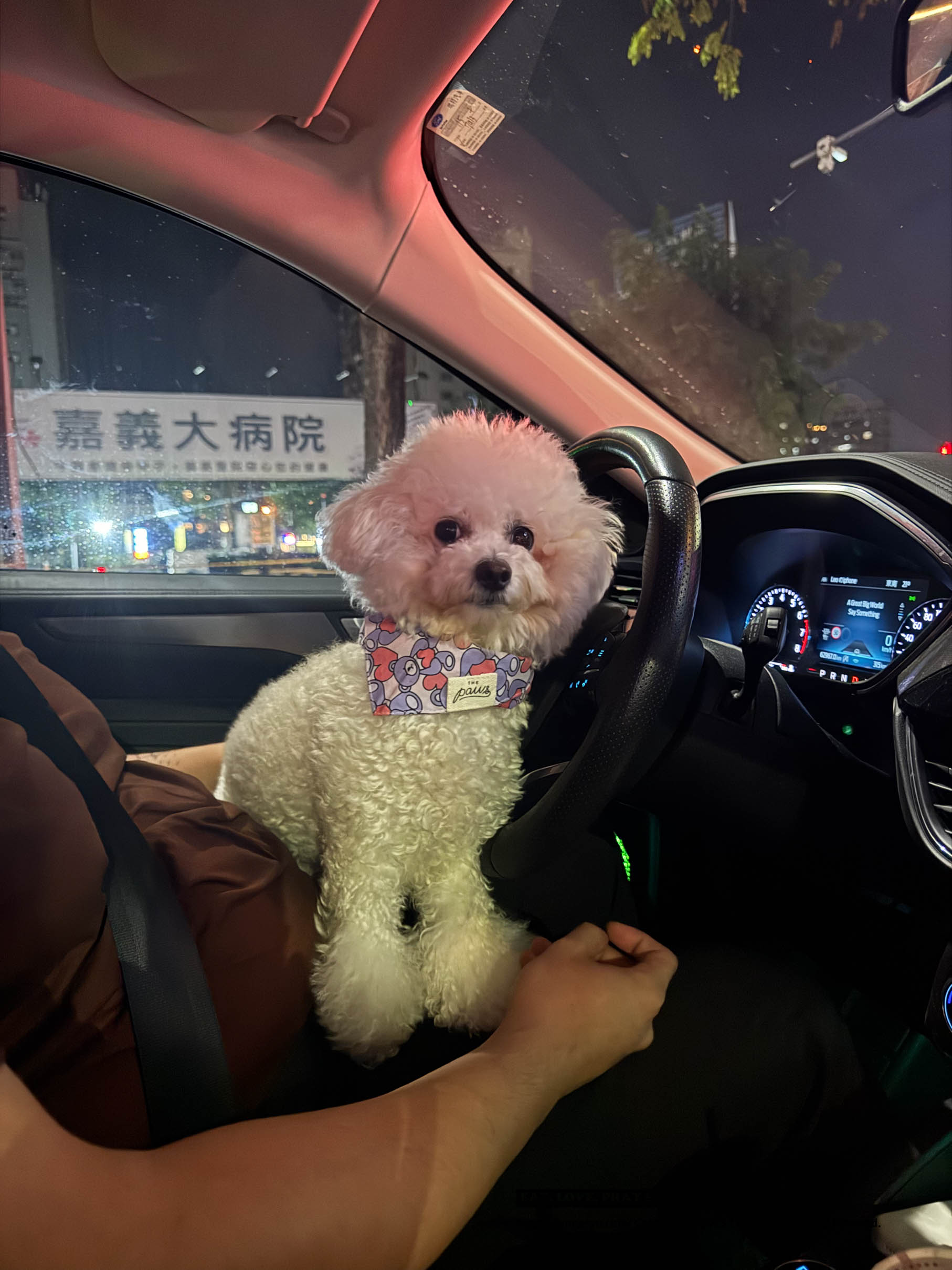 人醫生技評價|祕魯瑪卡王成分分析、適合族群與實測心得 人醫生技評價|祕魯瑪卡王成分分析、適合族群與實測心得