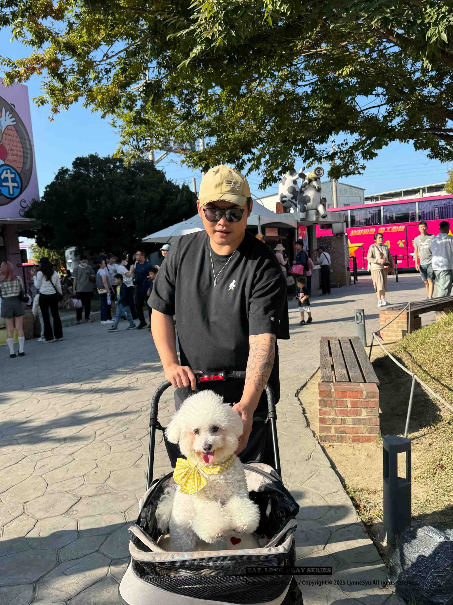 人醫生技評價|祕魯瑪卡王成分分析、適合族群與實測心得 人醫生技評價|祕魯瑪卡王成分分析、適合族群與實測心得