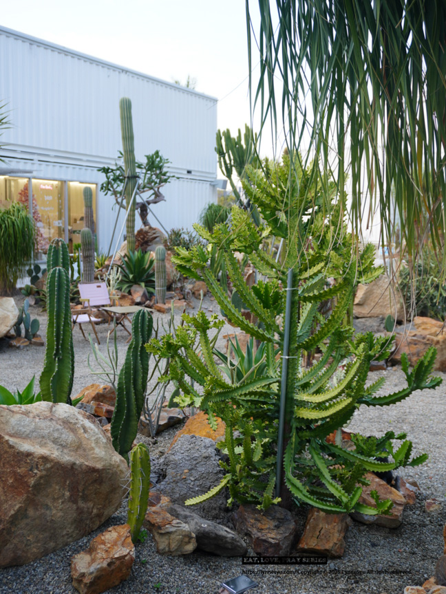 隱藏都市的加州小沙漠！皮爾卡登寢具台中旗艦店，關於法式生活感的睡眠美學｜義大利床墊、全台最齊JellyCat！