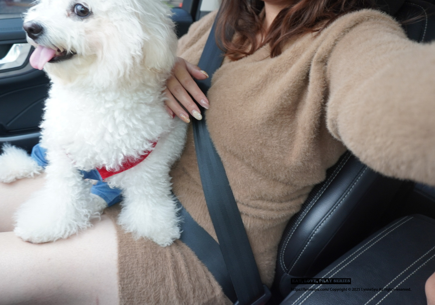 收腹褲怎麼選？TIBI小妖收腹推推褲，讓我重新拿出緊身洋裝