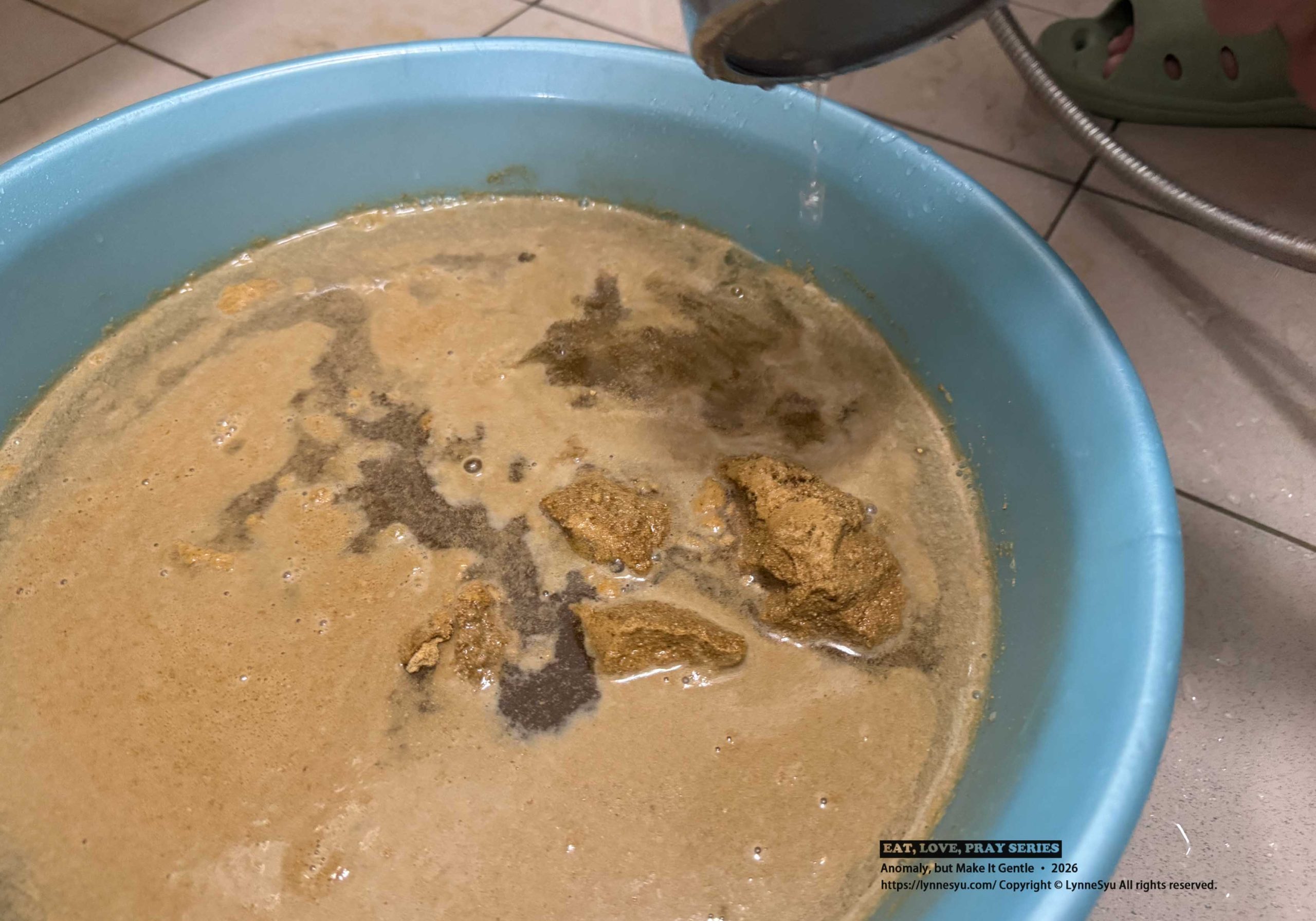 三層透天厝的馬桶日常，靠【綠大地化糞清】搞定臭味與通水問題