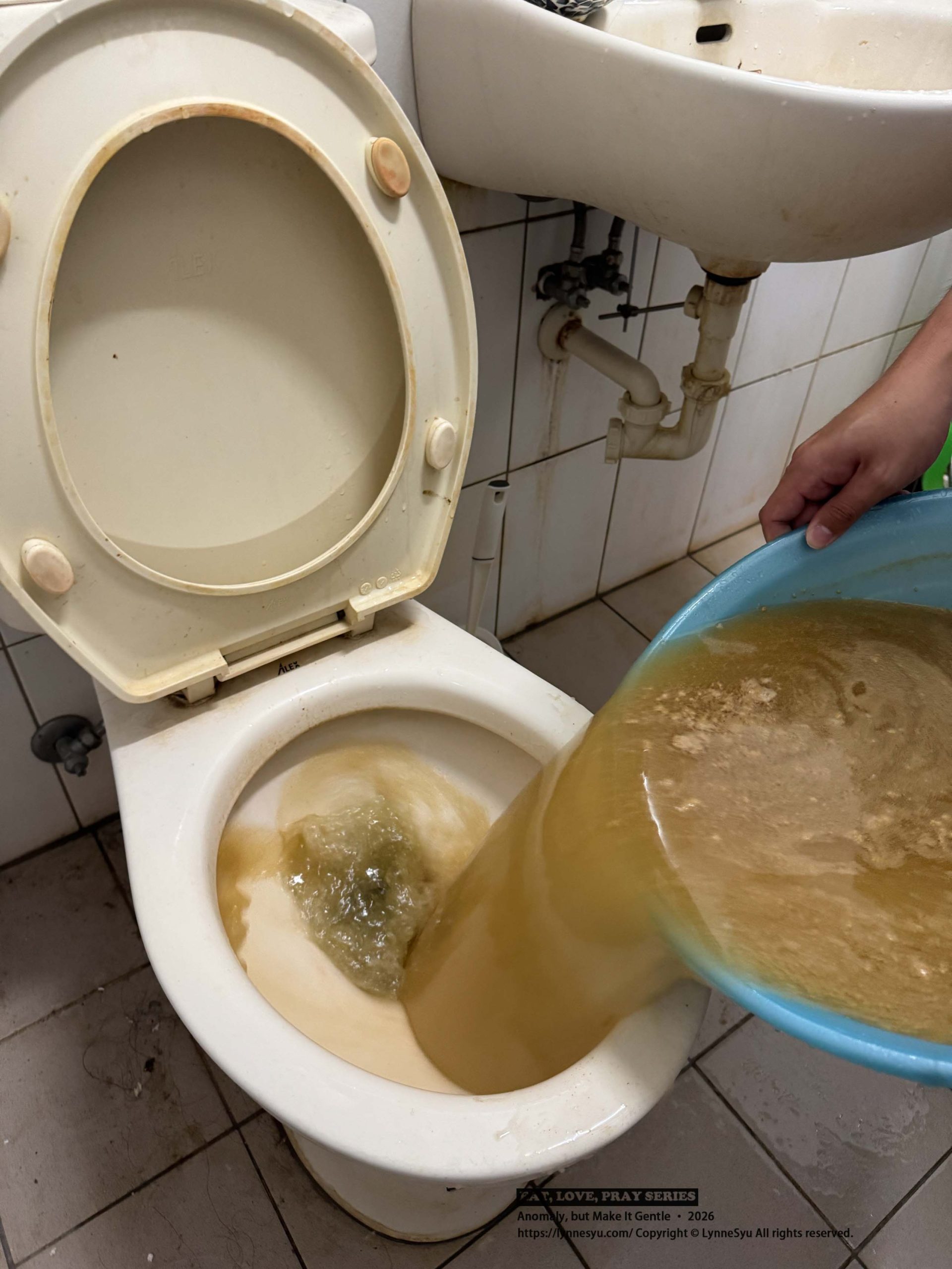 三層透天厝的馬桶日常，靠【綠大地化糞清】搞定臭味與通水問題