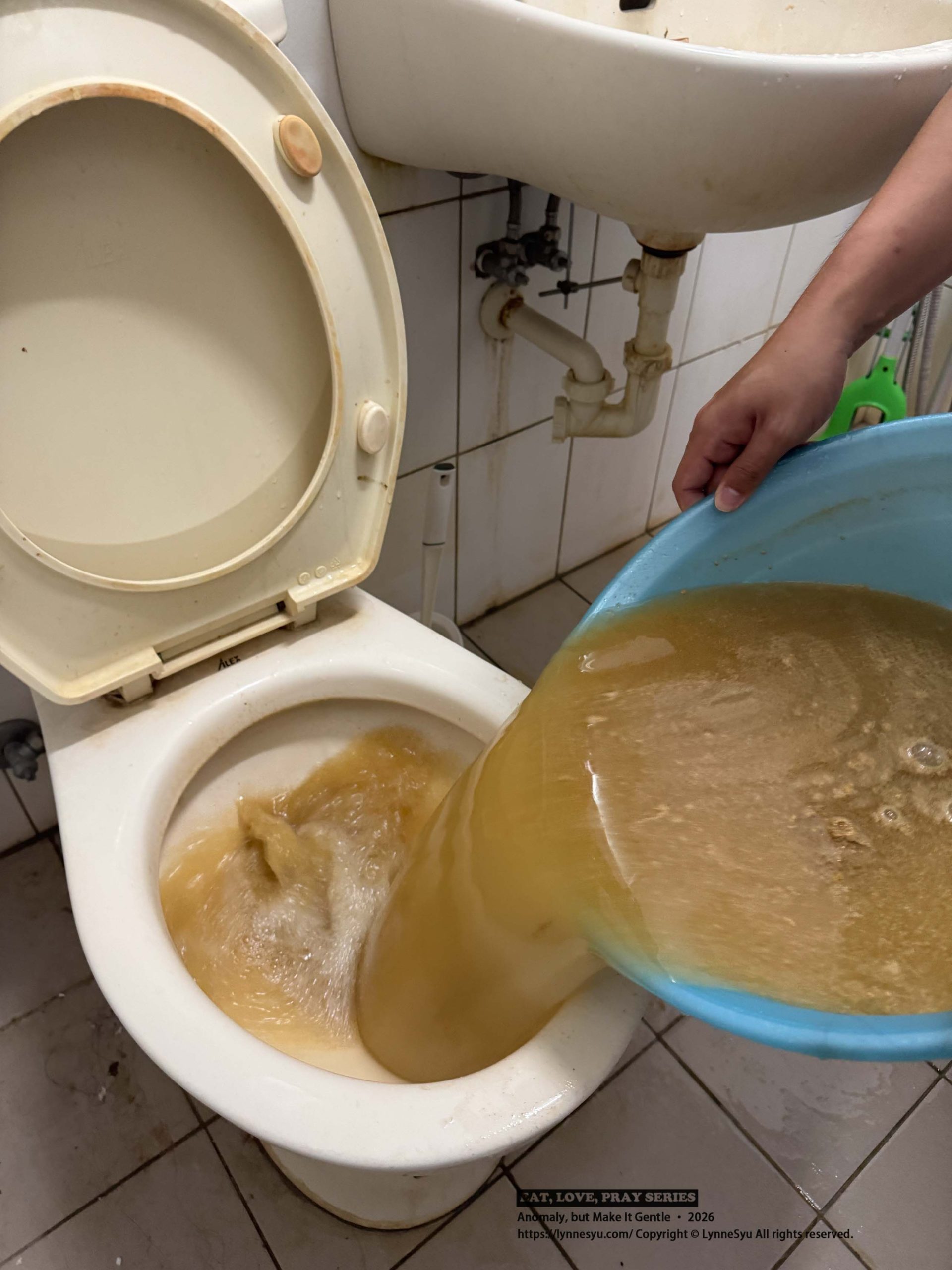 三層透天厝的馬桶日常，靠【綠大地化糞清】搞定臭味與通水問題