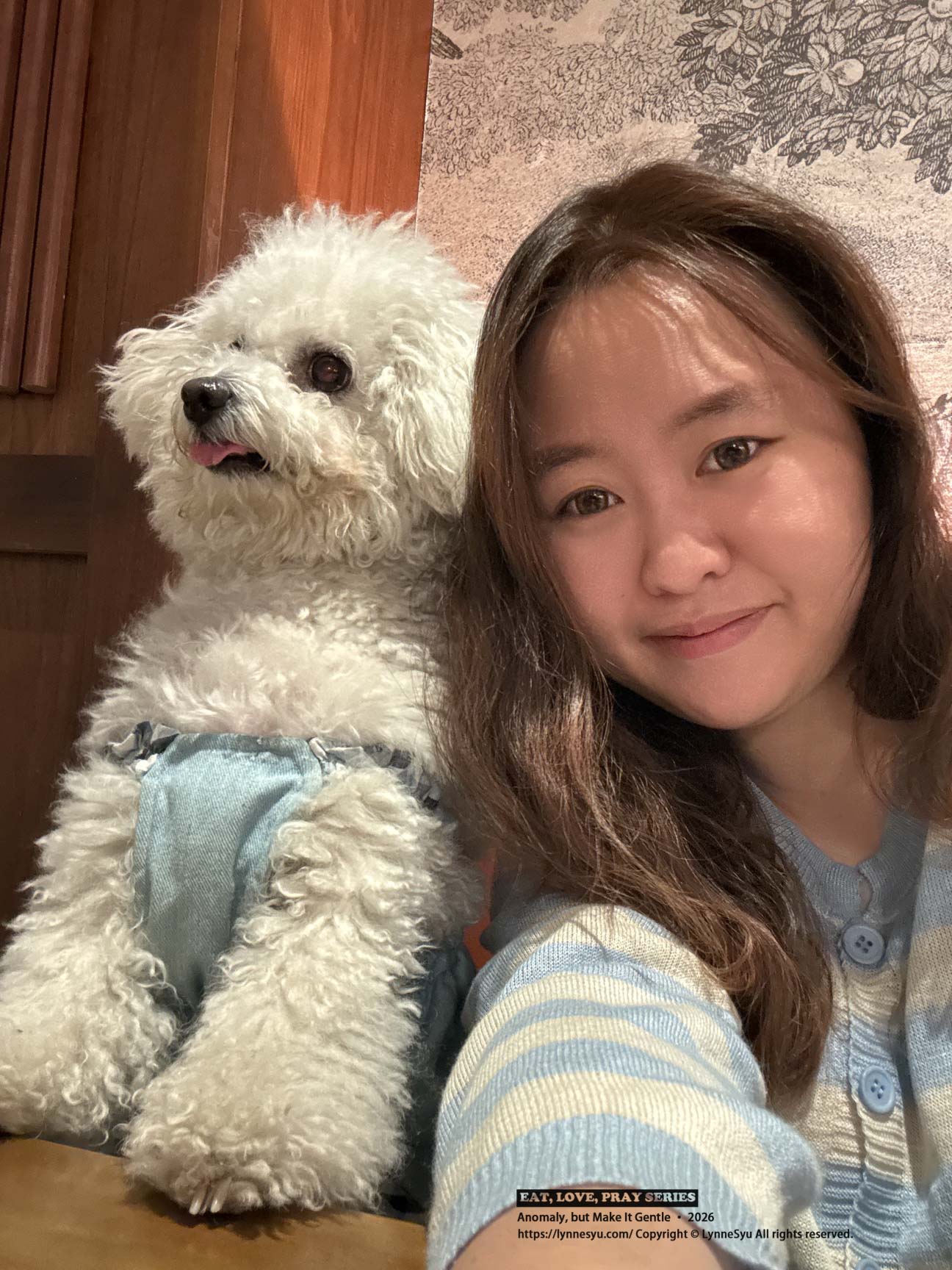 寵物要不要保險?易安網快速分析差異,簡單完成寵物險線上投保 寵物要不要保險?易安網快速分析差異,簡單完成寵物險線上投保