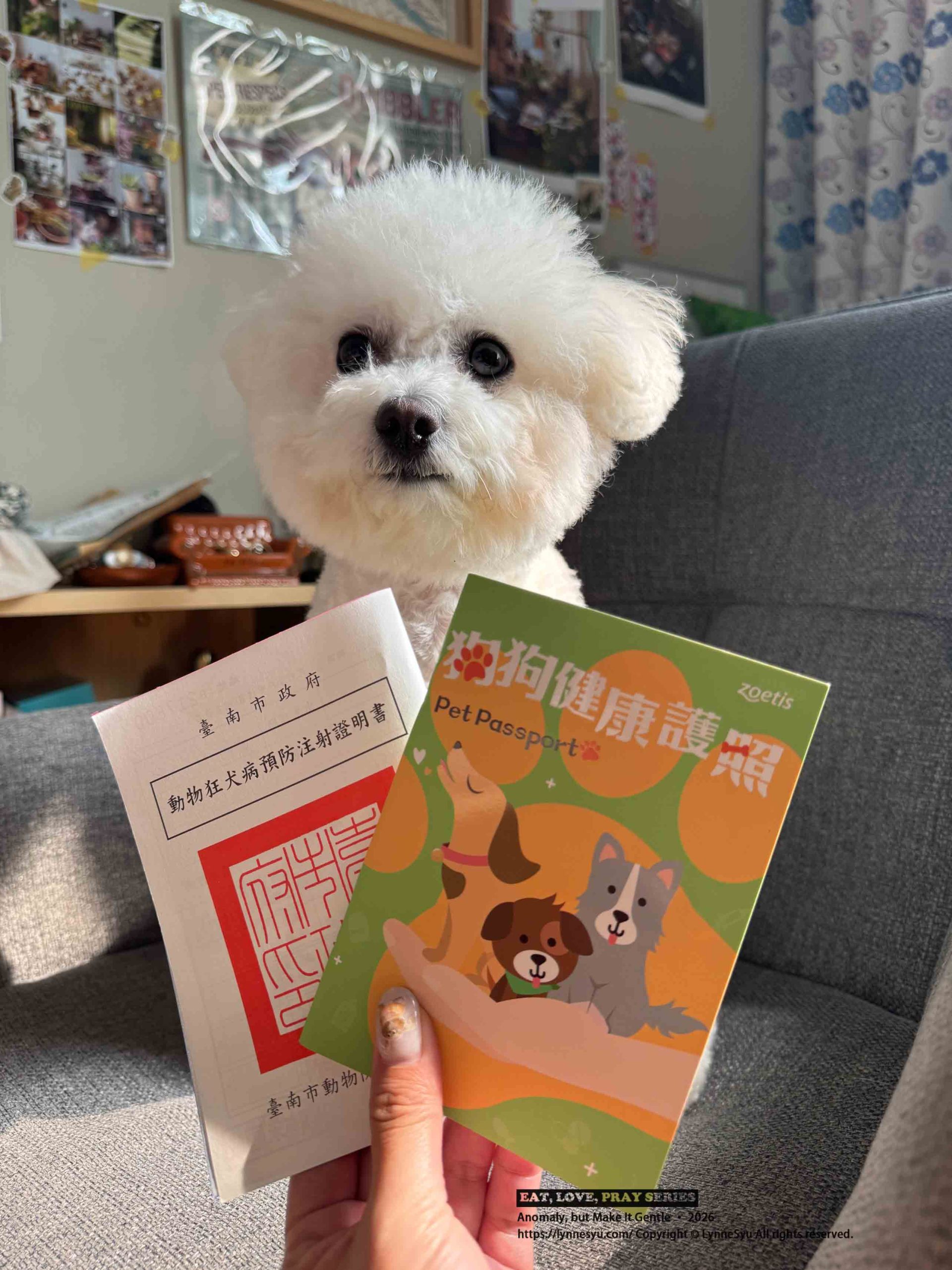 寵物要不要保險?易安網快速分析差異,簡單完成寵物險線上投保 寵物要不要保險?易安網快速分析差異,簡單完成寵物險線上投保