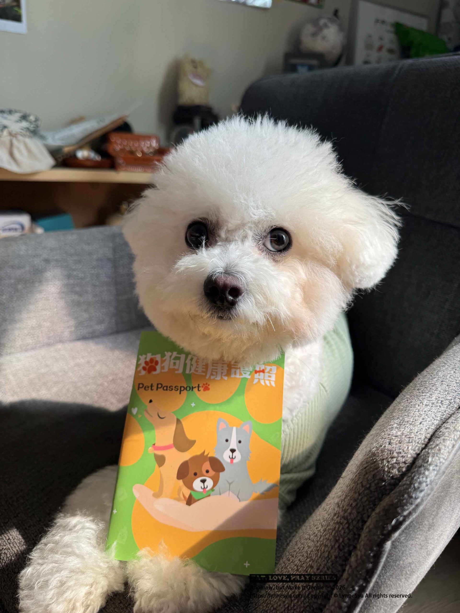 寵物要不要保險?易安網快速分析差異,簡單完成寵物險線上投保 寵物要不要保險?易安網快速分析差異,簡單完成寵物險線上投保