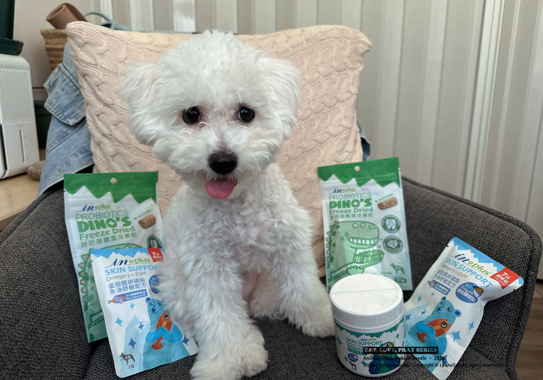 寵物要不要保險?易安網快速分析差異,簡單完成寵物險線上投保 寵物要不要保險?易安網快速分析差異,簡單完成寵物險線上投保