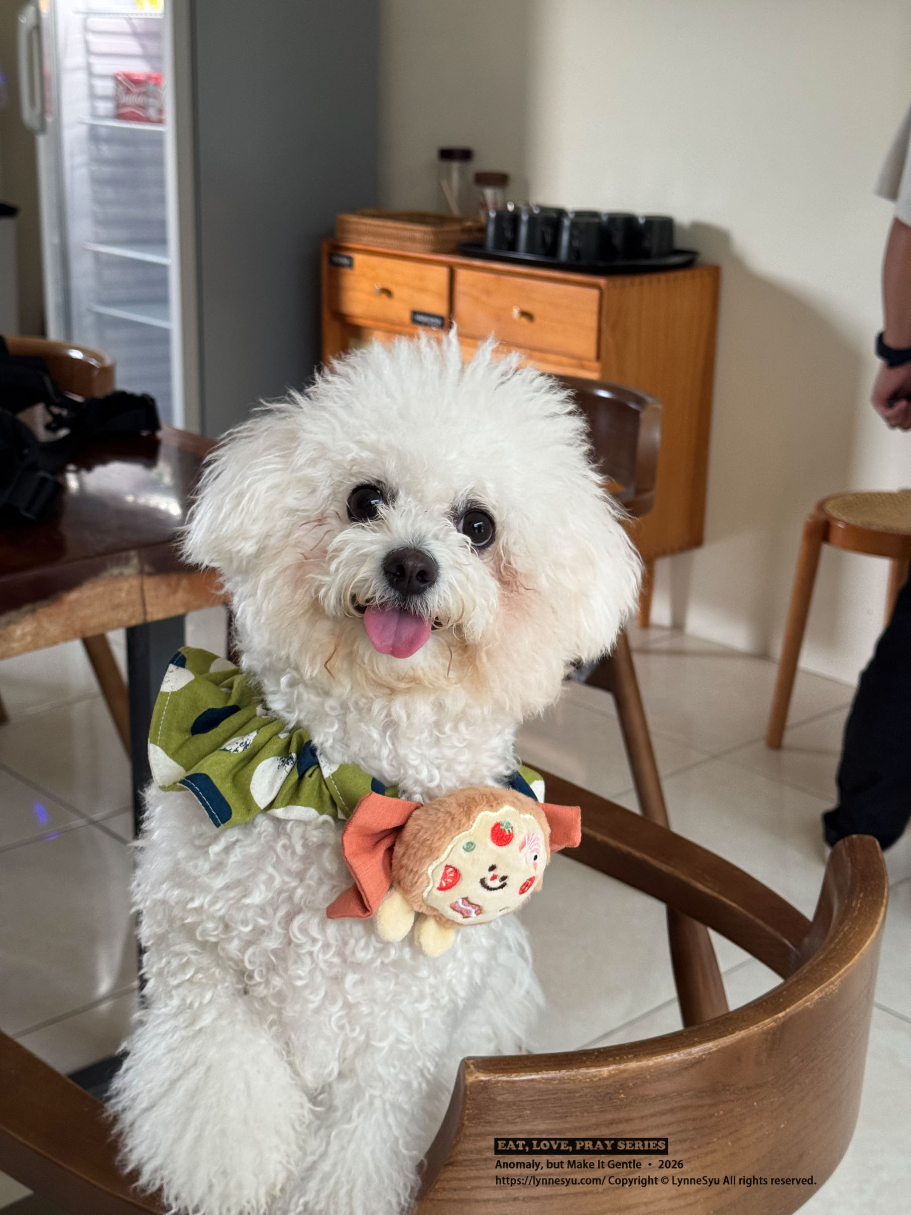 寵物要不要保險?易安網快速分析差異,簡單完成寵物險線上投保 寵物要不要保險?易安網快速分析差異,簡單完成寵物險線上投保