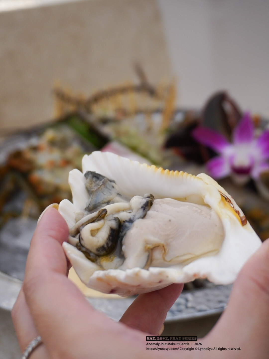 追求和牛的極致顛峰！台中和牛火鍋推薦，BMS 12頂級佐賀牛，雙人首選「月下雙饗套餐」