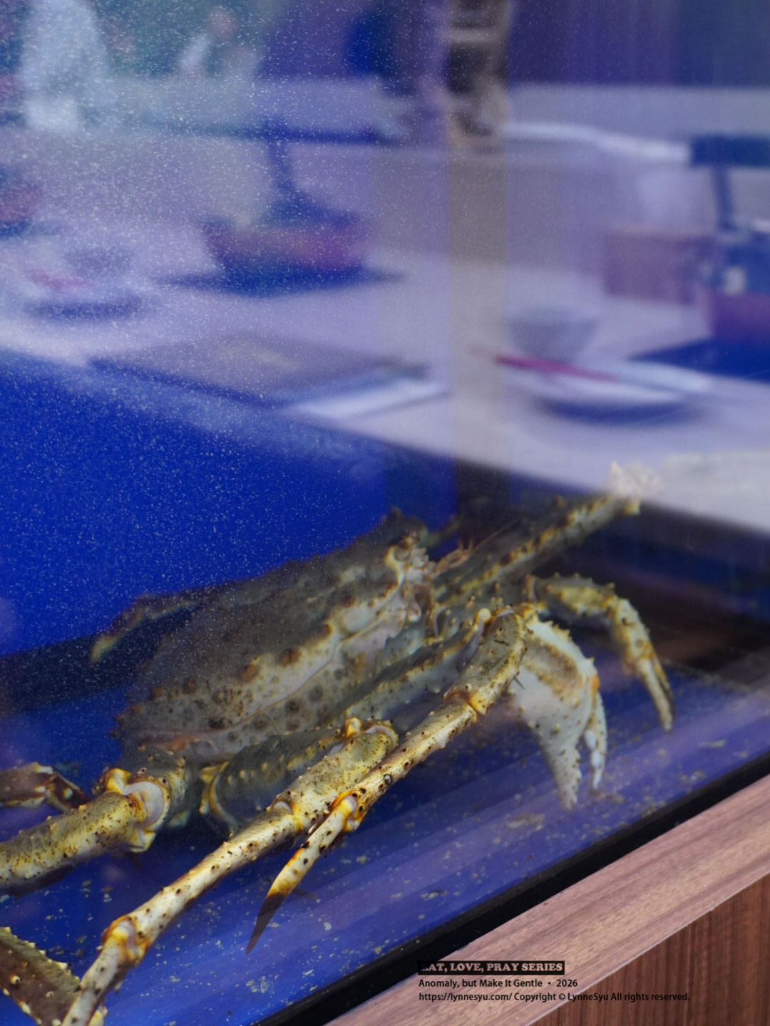 追求和牛的極致顛峰！台中和牛火鍋推薦，BMS 12頂級佐賀牛，雙人首選「月下雙饗套餐」