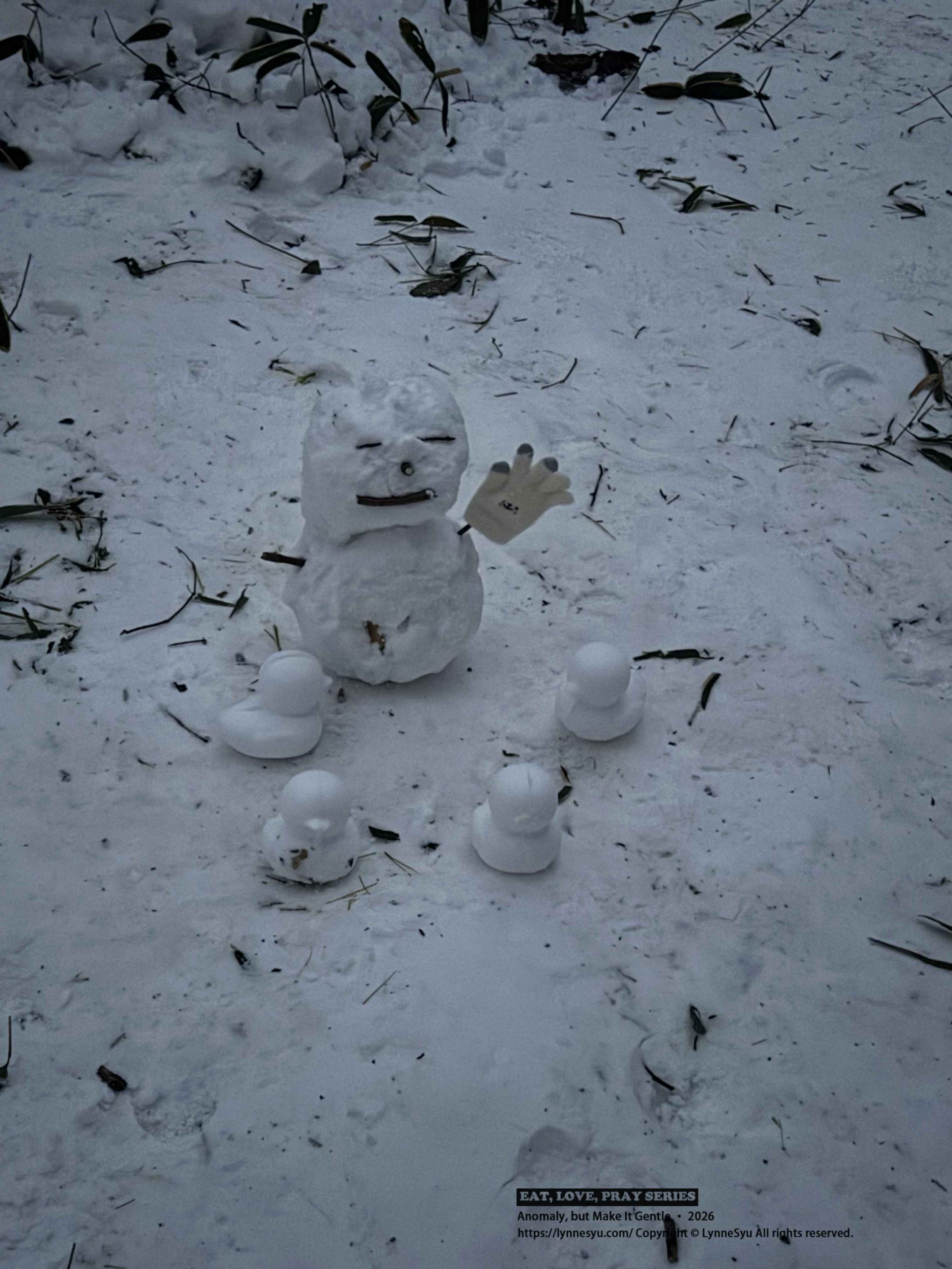 濟州島 eSIM 推薦｜去趣即買即用出國網路・免換卡・手機設定教學・環島上網也穩定